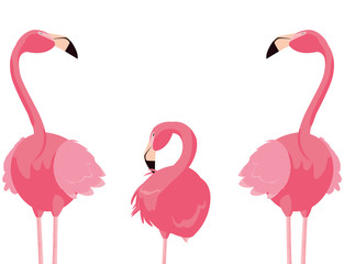 elegant flamingo birds family © djvstock