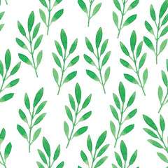 green watercolor leaves pattern with white background