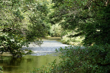 Langfigtal bei Altenahr Langfigtal bei Altenahr DE, NRW, Altenahr 07.08.2014