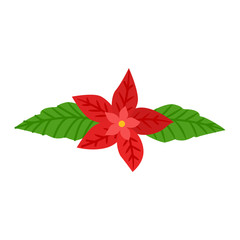 Christmas flower or poinsettia. Symbol winter. Vector illustration. EPS 10.