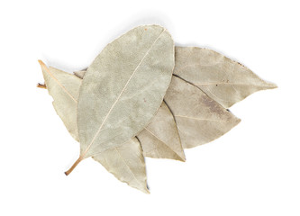 Naklejka premium Spices bay laurel leaves
