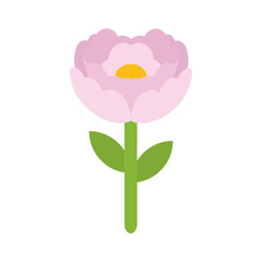 Flower. Flower icon White background. Plant. Beautiful flower. Vector illustration. EPS 10.