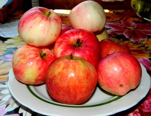 сад и огород