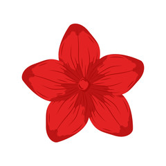 Flower. Plant. Icon flower. Red flower. Vector illustration. EPS 10.