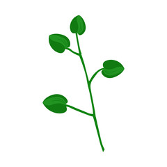 Flower buds. Plants. Bud. White background. Vector illustration. EPS 10.