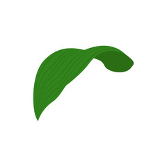 Leaf. Organic. Green leaf. White background. Vector illustration. EPS 10.