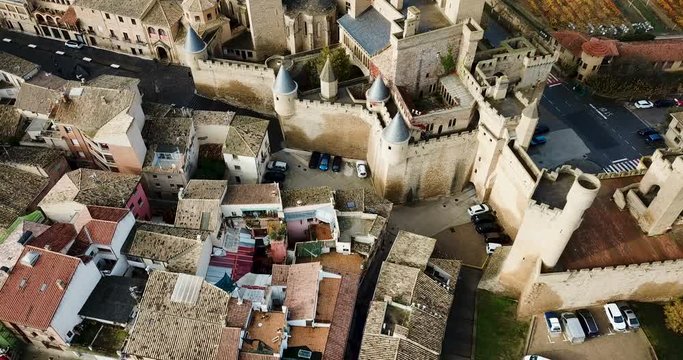 Aerial view of impressive medieval Royal Palace of Olite in autumn day, Navarre, Spain