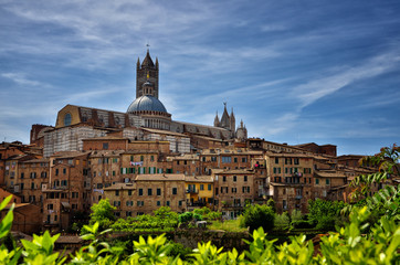 Fototapeta na wymiar Siena is one of Italy's best preserved medieval towns, located in the heart of Tuscany.
