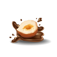 Hazelnut and chocolate splash. Nut and chocolate. A splash of hot chocolate and half a nut. Realistic vector illustration.
