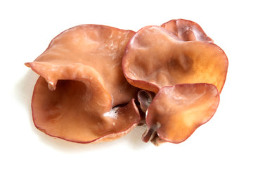 ear mushroom  isolated on white background