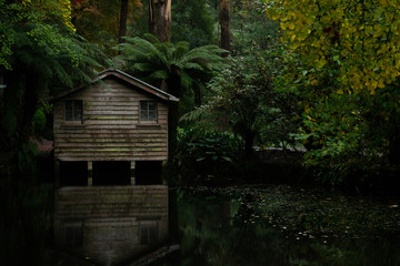 old house in the forest