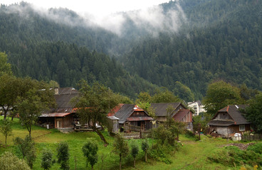 Fototapeta na wymiar Morning fog in the mountains of the Carpathians