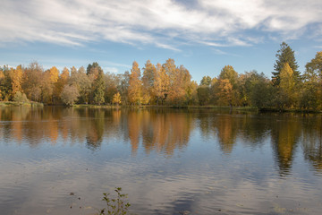 lake in autumn