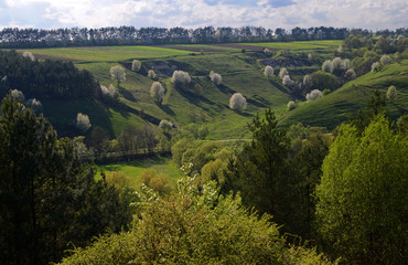 Obraz premium The huge river Dniester flows between high steep hills covered with spring lush green grass against the blue sky