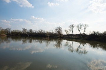 Fototapeta premium Nature