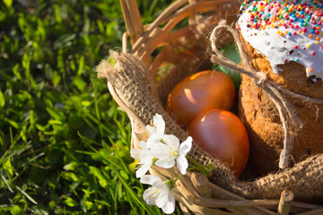 Easter basket with easter colored eggs and dessert (Paskha), Easter cakes with icing sugar on grass background.