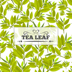 Tea leaf Seamless pattern for your background. Young May month leaf crop. Flat vector illustration.
