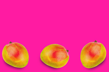 Row of three whole ripe mango on pink background with copy space for your text