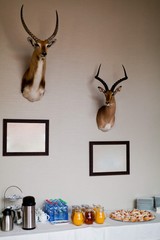 Two trophies of antelope on wall above coffee break.