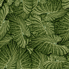 Naklejka na ściany i meble Seamless background with leaves of an exotic plant. Jungle.