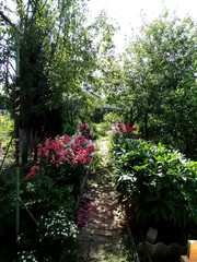 садовые цветы