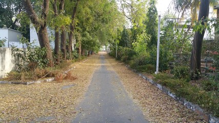 ree, nature, highway,