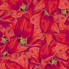 Fototapeta premium Seamless background. Flowers. Tulips. Stylization: watercolor.