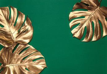 Golden monstera leaves on green background © mykolastock