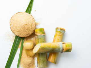 sugar cane and leaf with brown sugar