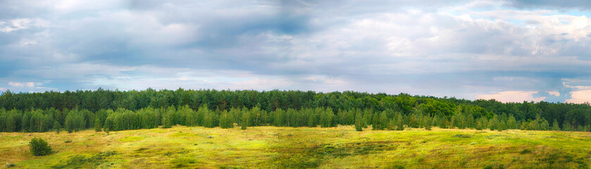 Fototapeta na wymiar Panorama. Beautiful summer countryside landscape.