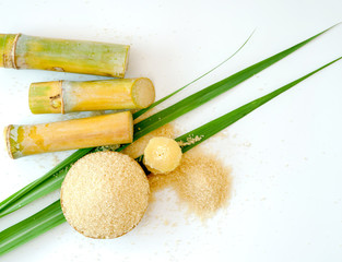 sugar cane and leaf with brown sugar