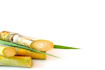 ugar cane and leaf with brown sugar