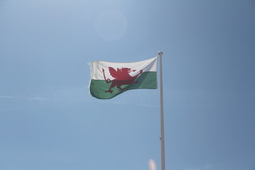 Wales Flag