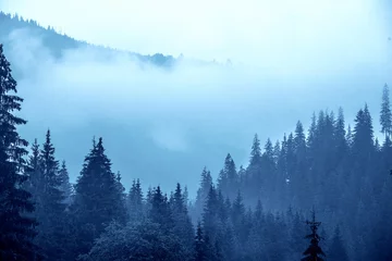 Crédence de cuisine en verre imprimé Forêt dans le brouillard Misty mountain landscape