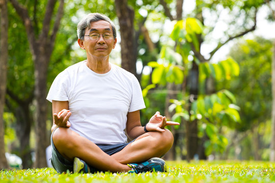 Old Man Meditation In Nature Park