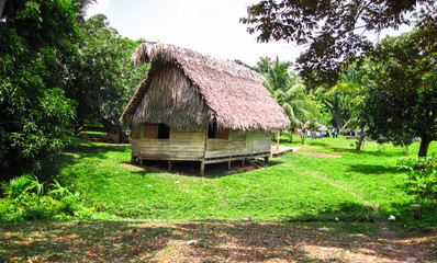 Fototapeta na wymiar An indigenous house made with wood and a thatched roof in southern Belize.
