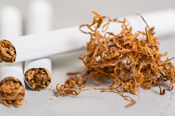 Macro View of the cigarettes and tobacco stack. The tobacco plant is part of the genus nicotiana and of the solanaceae (nightshade) family. Close up with copy paste space, in the gray background