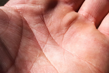 The inner part of the human hand. Close-up human skin on the palm