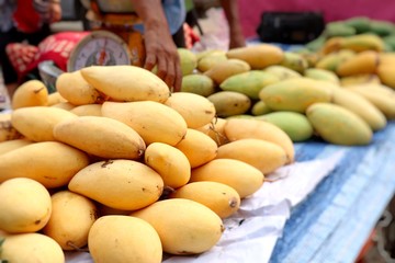 Naklejka na ściany i meble ripe mango at street food