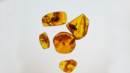 Amber stone. Authentic Baltic amber with prehistoric fossil insect macro. Magnifying glass and...