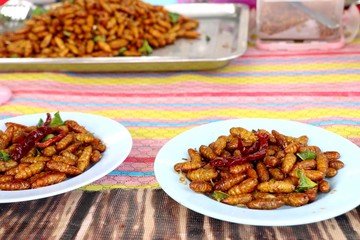 Fried insect at street food