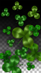 Vector Clover Leaf  Isolated on Transparent Background with Space for Text. St. Patrick's Day Illustration. Ireland's Lucky Shamrock Poster. Invintation for Concert in Pub. Top View. Success Symbols.