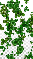 Vector Clover Leaf  Isolated on Transparent Background with Space for Text. St. Patrick's Day Illustration. Ireland's Lucky Shamrock Poster. Invintation for Concert in Pub. Top View. Success Symbols.