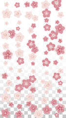 Vector Realistic Pink Flowers Falling on Transparent Background.  Spring Romantic Flowers Illustration. Flying Petals. Sakura Spa Design. Blossom Confetti. Design Elements for Wedding Decoration.