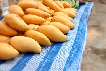 ripe mango at street food