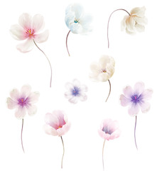 Beautiful hand drawn watercolor flower