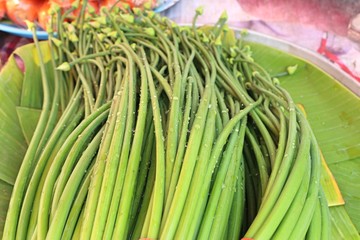 Spring onion flower at market