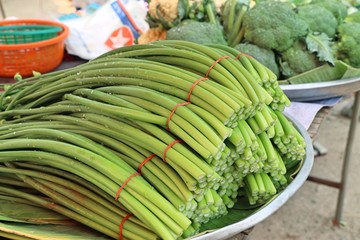 Spring onion flower at market