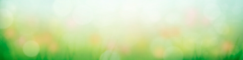 Abstract background with green grass, flowers and sun rays