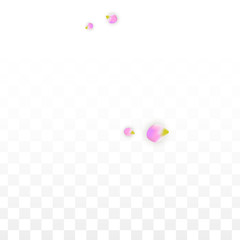 Vector Realistic Pink Petals Falling on Transparent Background.  Spring Romantic Flowers Illustration. Flying Petals. Sakura Spa Design. Blossom Confetti.